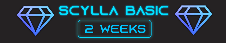 Scylla Basic - 2 Weeks